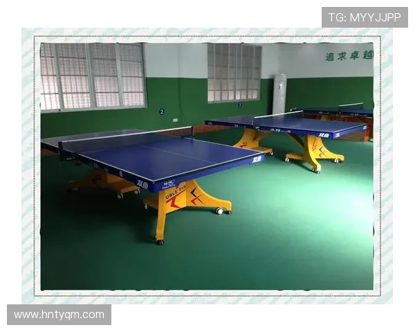 湖北健身器材厂的详细介绍与使用建议 湖北健身器材厂的详细介绍与使用建议